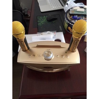Loa Bluetooth karaoke kèm 2 míc SDRD-306