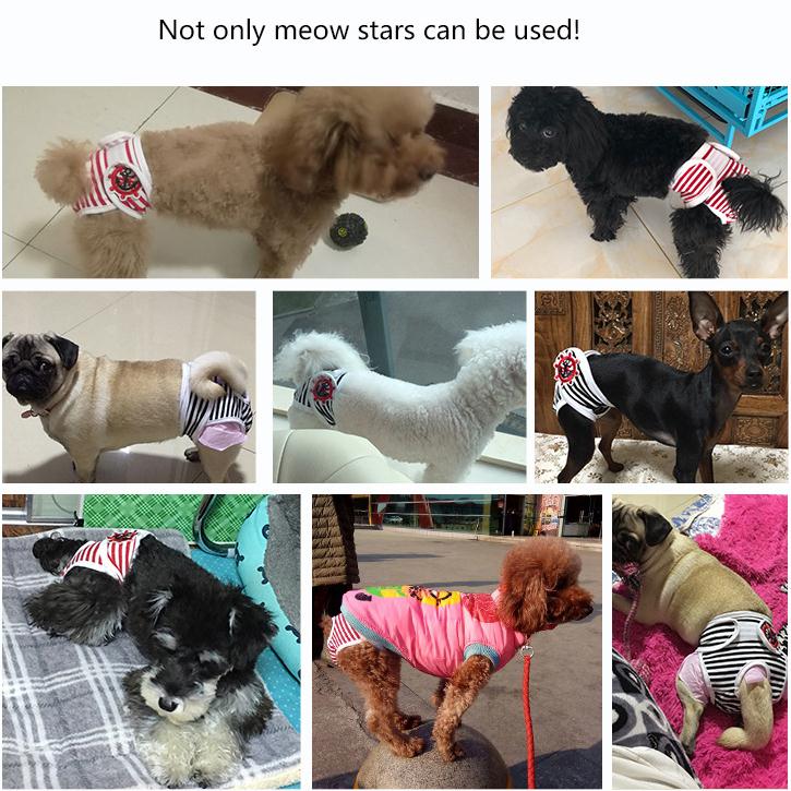 Quần Lót Sinh Lý Chống Vi Khuẩn Cho Thú Cưng