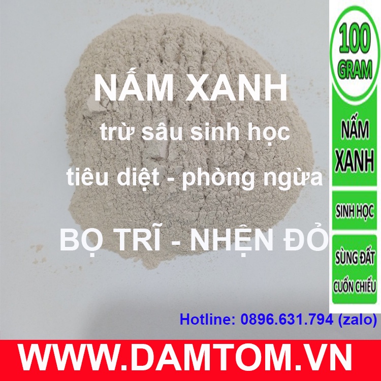 Vi Sinh Nấm Xanh Phòng Và Trừ Sâu, Bọ Trĩ, Nhện Đỏ, Sùng Đất - Chế Phẩm Sinh Học An Toàn, Hiệu Quả - gói 1kg