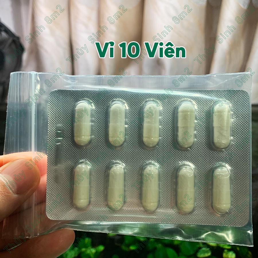 Viên Sát Khuẩn PRANEE AQUARIUM 1 - Trị Cá Tép Chết Lai Rai - 8m2