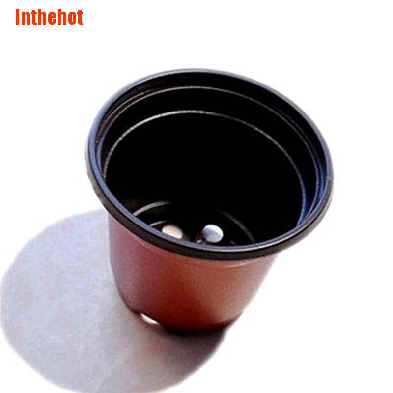 Bộ 100 Chậu Nhựa Trồng Cây Chuyên Dùng
