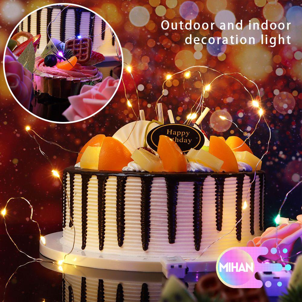 Dây đèn LED bằng đồng dùng trang trí tiệc cưới/năm mới MIHAN1