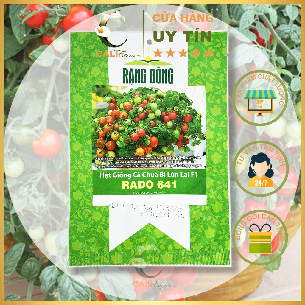 Hạt Giống Cà Chua Bi Lùn Đỏ Sai Trái Rado 641