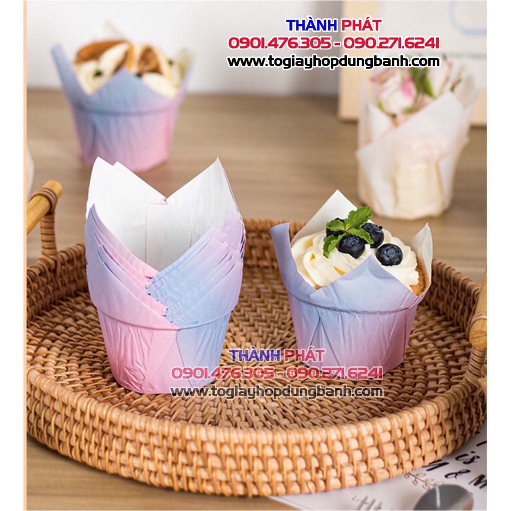 200 Cupcake lá đựng bánh bông lan - bánh kem - cup lace dùng để trang trí