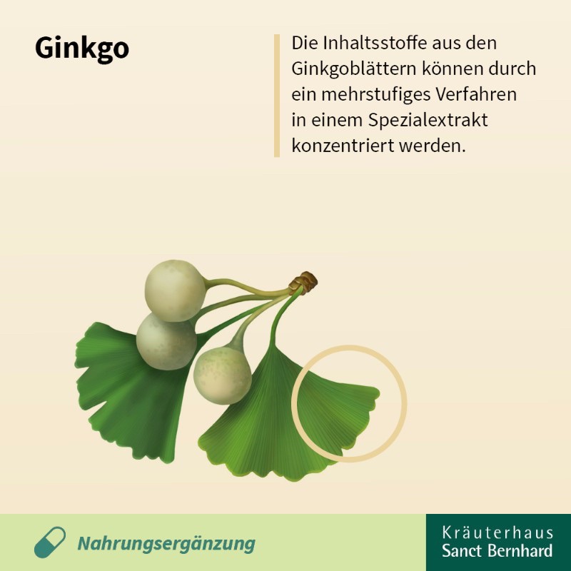 Viên uống bổ não Ginkgo Sanct Bernhard 75mg - Lọ 240 Viên