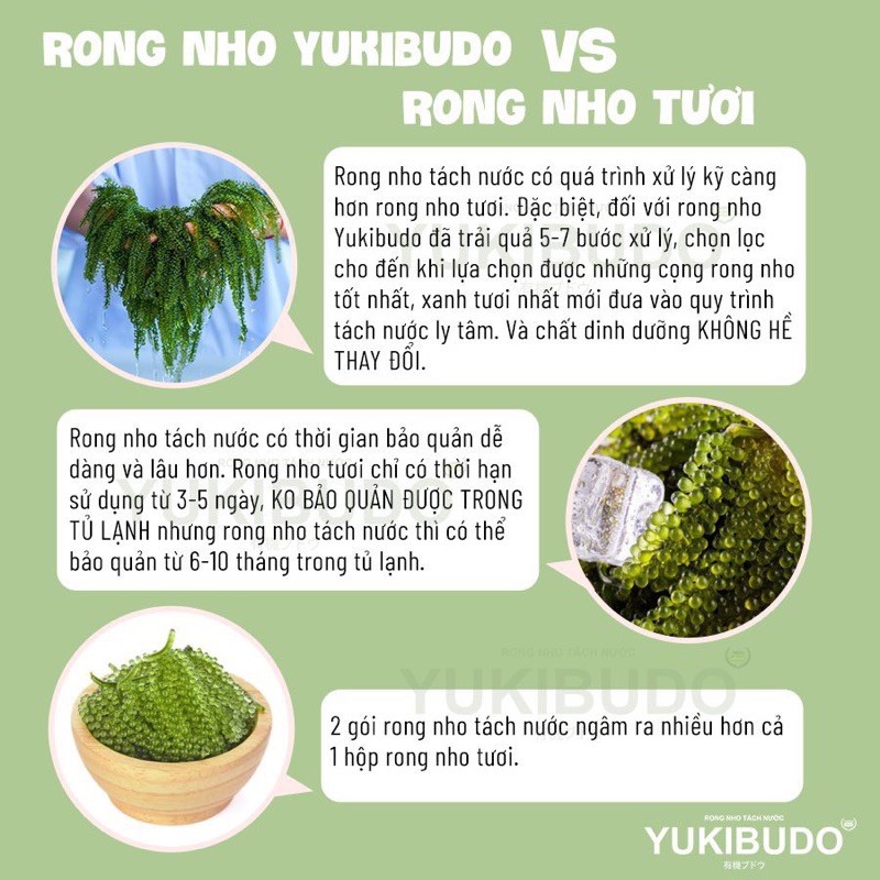[Rẻ Vô Địch] Rong nho tách nước YuKiBuDo - 1 Gói lẻ 25gr + Tặng kèm nước chấm mè rang | BigBuy360 - bigbuy360.vn