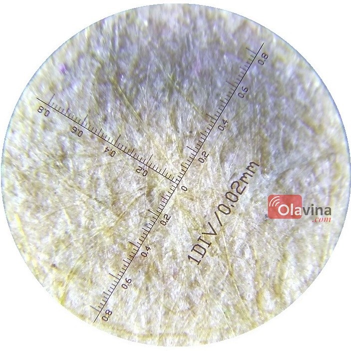 Kính lúp cầm tay độ phóng đại 100x có thước đo