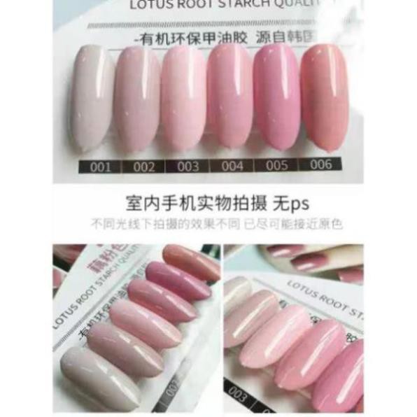 Sơn Gel Kaniu set 21 bền màu cực kì mướt 12ML Dành cho tiệm nail chuyên nghiệp