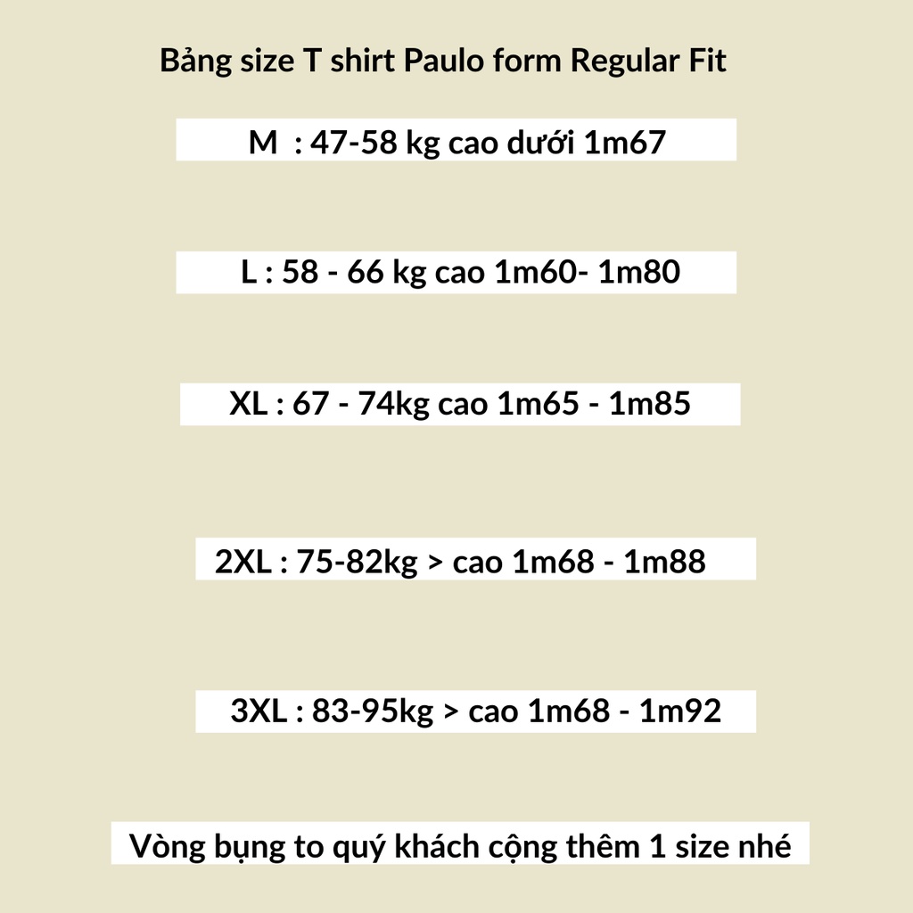 Áo thun nam cổ tròn PAULO HIKO vải Cotton lạnh co giãn,dày dặn, form Regular Fit | BigBuy360 - bigbuy360.vn