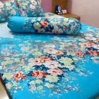 Bộ chăn ga chun +gối ko trần