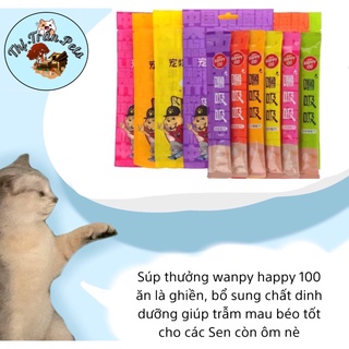 Súp thưởng cho mèo Wanpy Happy 100 gói 5 thanh - 6 vị siêu ngon cung cấp dinh dưỡng cho hoàng thượng