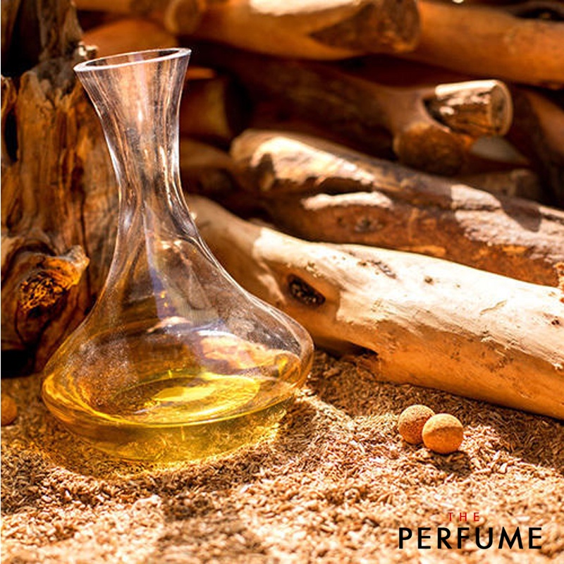  (Perfume) Nước Hoa Nam OICR SLEVACE Dòng Sản Phẩm Gentleman Cologne 100ml | BigBuy360 - bigbuy360.vn