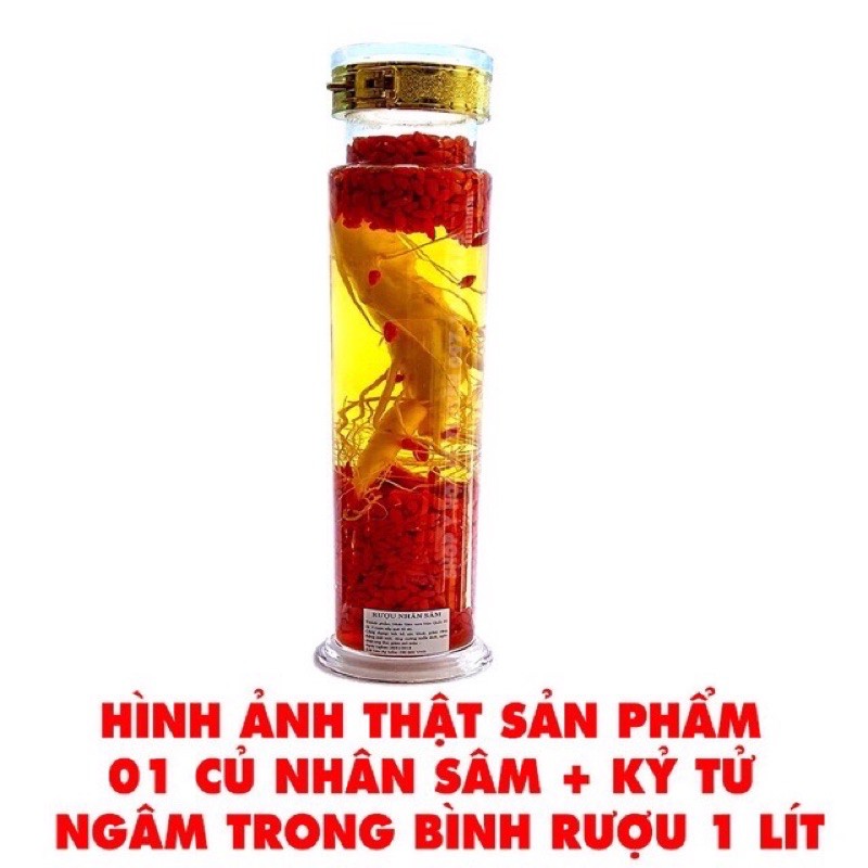 nhân sâm tươi 1 củ +🎁🎁🎁