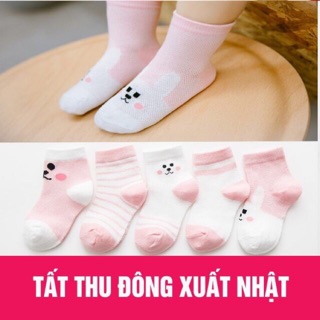 Sét 5 đôi tất lưới cổ cao mẫu mới cho bé sơ sinh