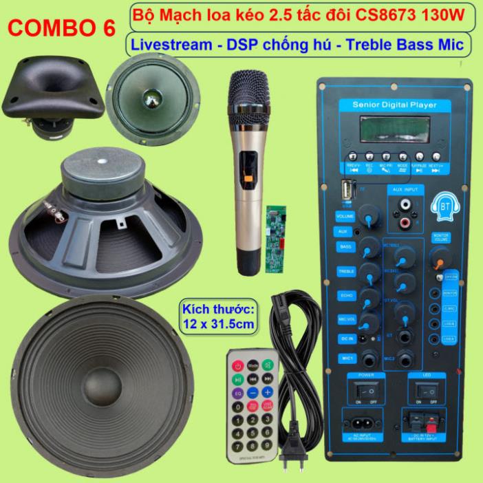 Mạch loa kéo 2 tấc rưỡi đôi CS8673E 130W LIVESTREAM - DSP lập trình chống hú, chỉnh Bass Treble Micro