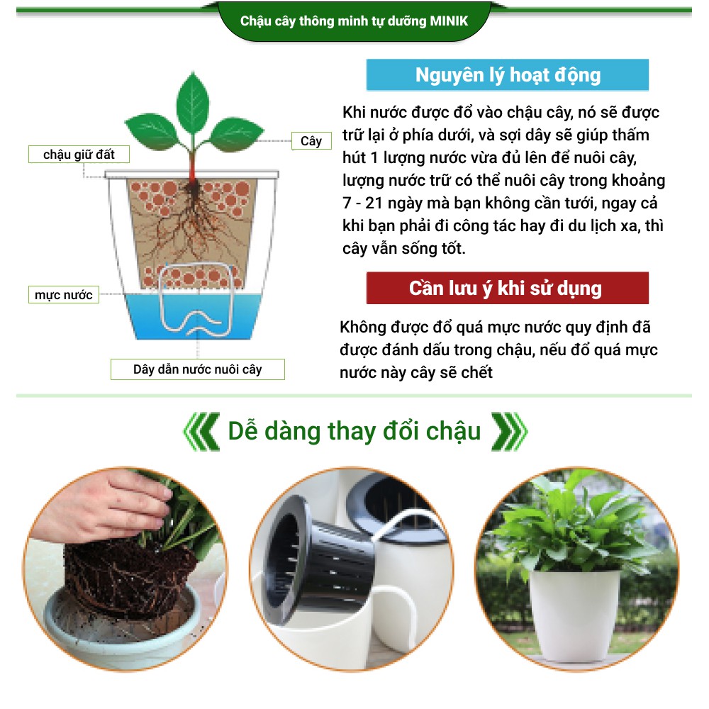 Chậu trồng cây để bàn tự dưỡng MINIK, trong suốt, có thể trồng đất hoặc trồng thủy canh, size 13cm x14cm