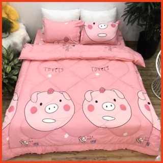 Bộ 5 ga gối và chăn phao poly cotton chần bông dày loại 1 mềm êm được chọn mẫu