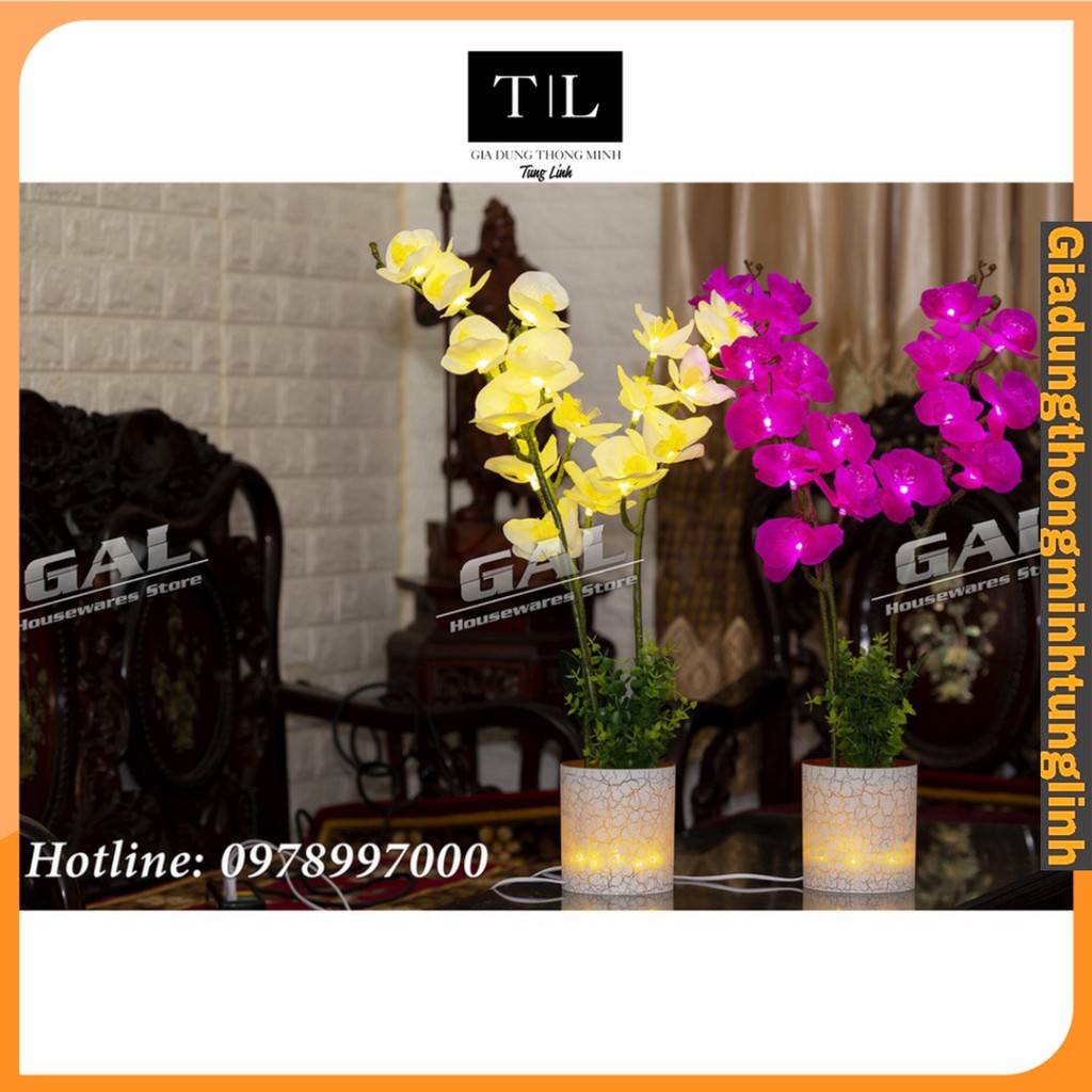 Cây lan hồ điệp 3 nhánh trang trí đèn