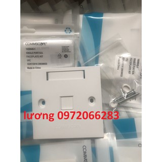 Mặt 1 Port Wallplate AMP Face Plate 1859049-1 mặt nạ vuông