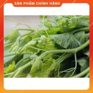 HẠT GIỐNG BÍ SIÊU NGỌN THÂN MẬP GÓI 20 GRAM