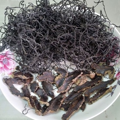 Canh rong biển sanh địa / Sanh địa đảng sâm / Sanh địa thổ phục linh / Sanh địa sâm trúc