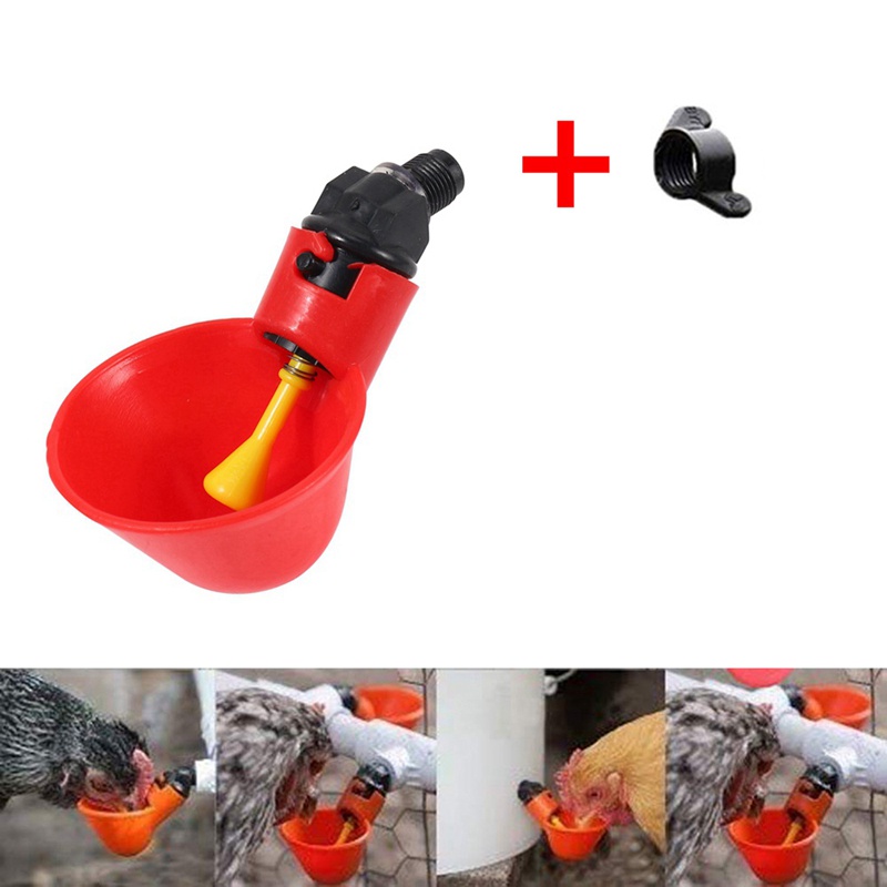 Set 48 Cốc Uống Nước Tự Động Cho Gia Cầm Chim