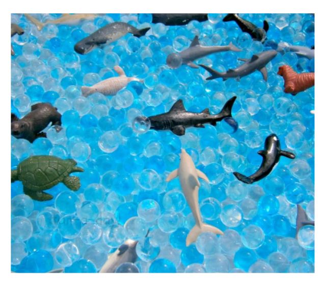 Hạt Tinh Thể Trồng Cây Cảnh