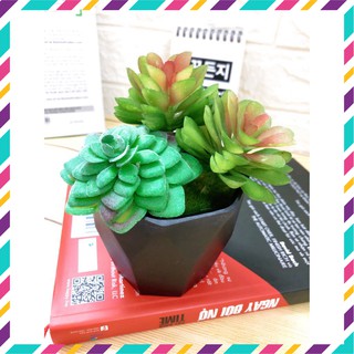 Hoa giả - Hoa Sen đá nhựa silicol cao cấp trang trí, phụ kiện chụp ảnh