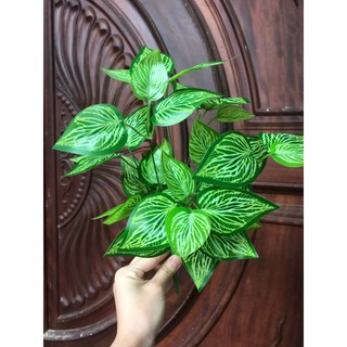 Cụm lá điểm trang trí tường cây