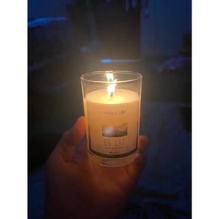 Nến thơm Candle Cup mùi Đà Lạt