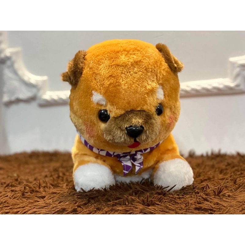 CHÓ SHIBA AMUSE CHÍNH HÃNG NHẬT BẢN