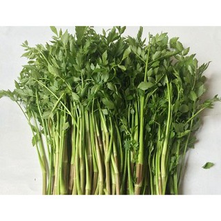 Rau Cần Nước - Chậu Rau