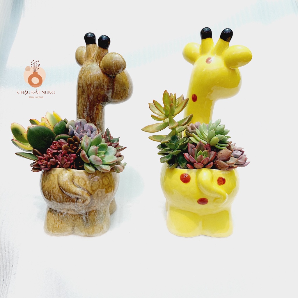 Chậu men, Chậu sen đá Bình Dương - Hươu con mũm mĩm, miệng chậu 10cm, chiều cao 30cm
