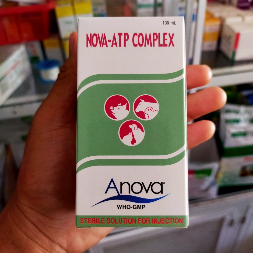 Tăng sức khỏe, chống bại liệt NOVA ATP COMPLEX 100ml