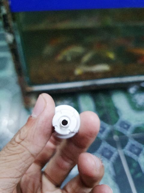 VAN 1 CHIỀU SPRING STOP HỒ CÁ THỦY SINH