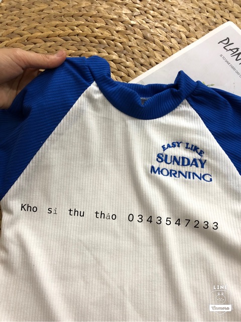 Áo croptop thêu hình chụp thật kèm video