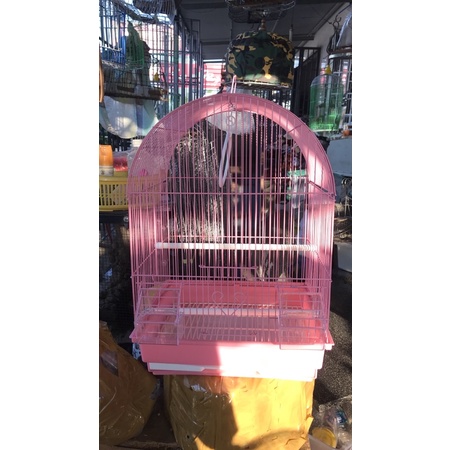 Lồng vẹt, yến phụng, love bird