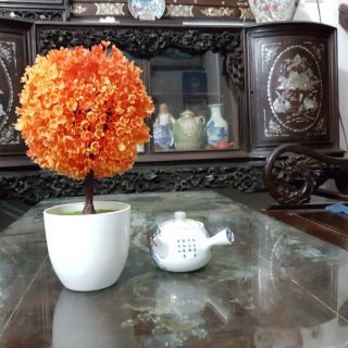 Cây hoa nhựa trang trí
