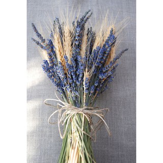 Hoa LAVENDER khô - Hoa OẢI HƯƠNG khô decor trang trí nhà cửa, đạo cụ chụp ảnh