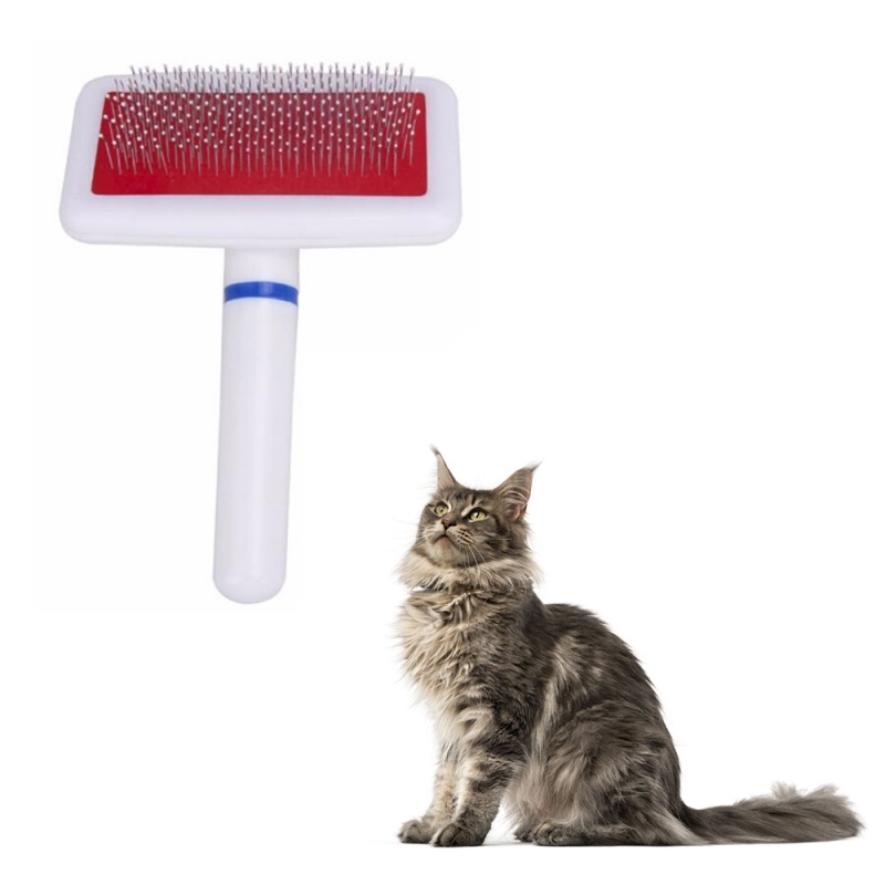 Bàn chải massage giúp loại bỏ lông rụng dạng đầu kim cho cún mèo thú cưng cỡ nhỏ