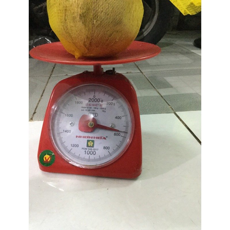 Dừa sáp Trà Vinh loại đặc bi 500g-700g