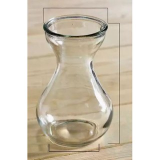 Chai lọ thủy tinh trồng cây thủy canh, củ tiên ông - Trang Flower