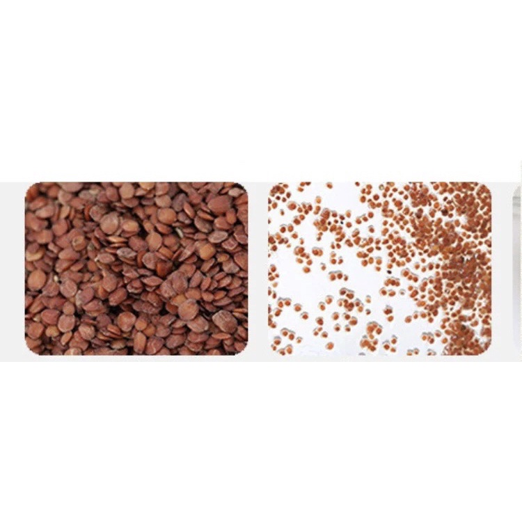 Mặt Nạ Ngũ Hoa Hạt To 1kg  Sạch Nguyên Chất Hàng Chuẩn loại 1 [ Giá Sỉ ]