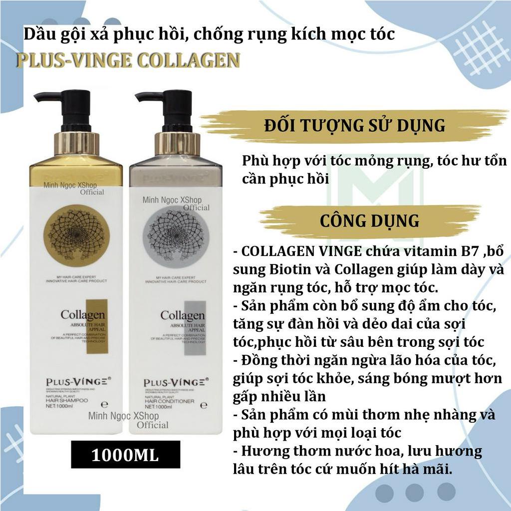 Bộ sản phẩm dầu gội xả, kem ủ tóc, xịt dưỡng phục hồi chống rụng tóc Plus Vinge Collagen 250ML - 1000ML