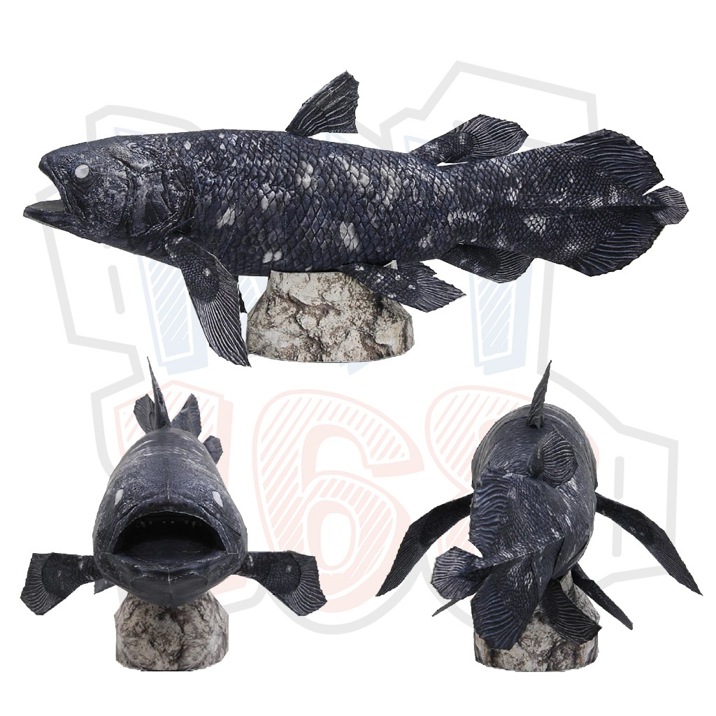 Mô hình giấy động vật cá Coelacanth