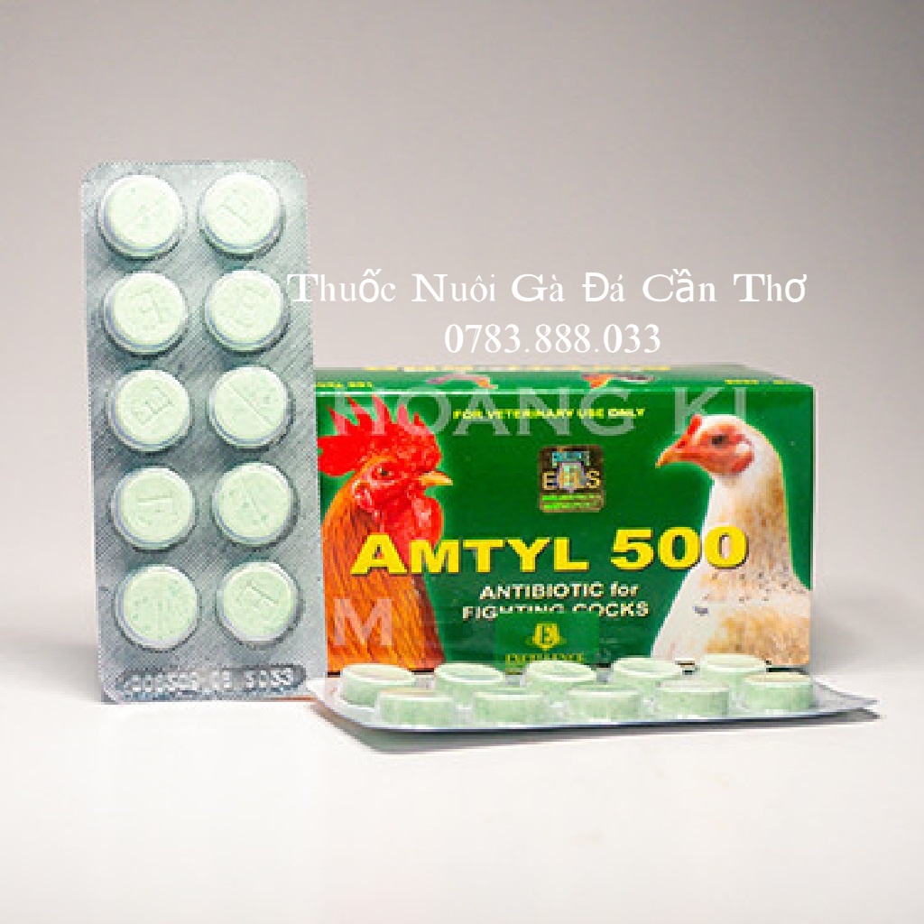 Amtyl 500 Nuôi tang khò khè sổ mũi tiêu chảy phân xấu cho gà đá 1 vỉ