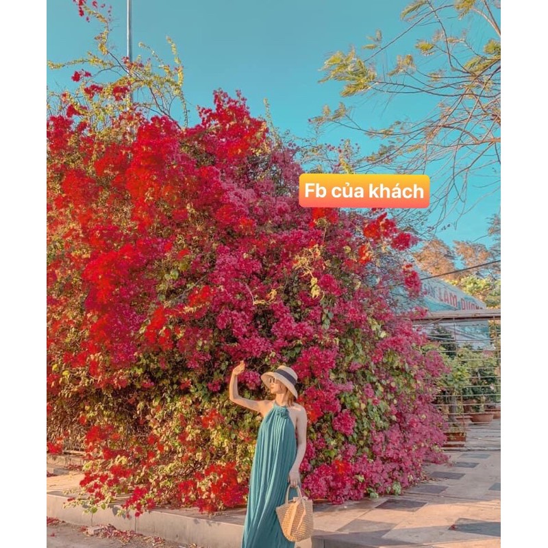 [HÌNH THẬT LÀ HÌNH CUỐI] Maxi voan dài dập ly 3 màu kiểu hở lưng có mút ngực cổ đính hoa siêu xinh