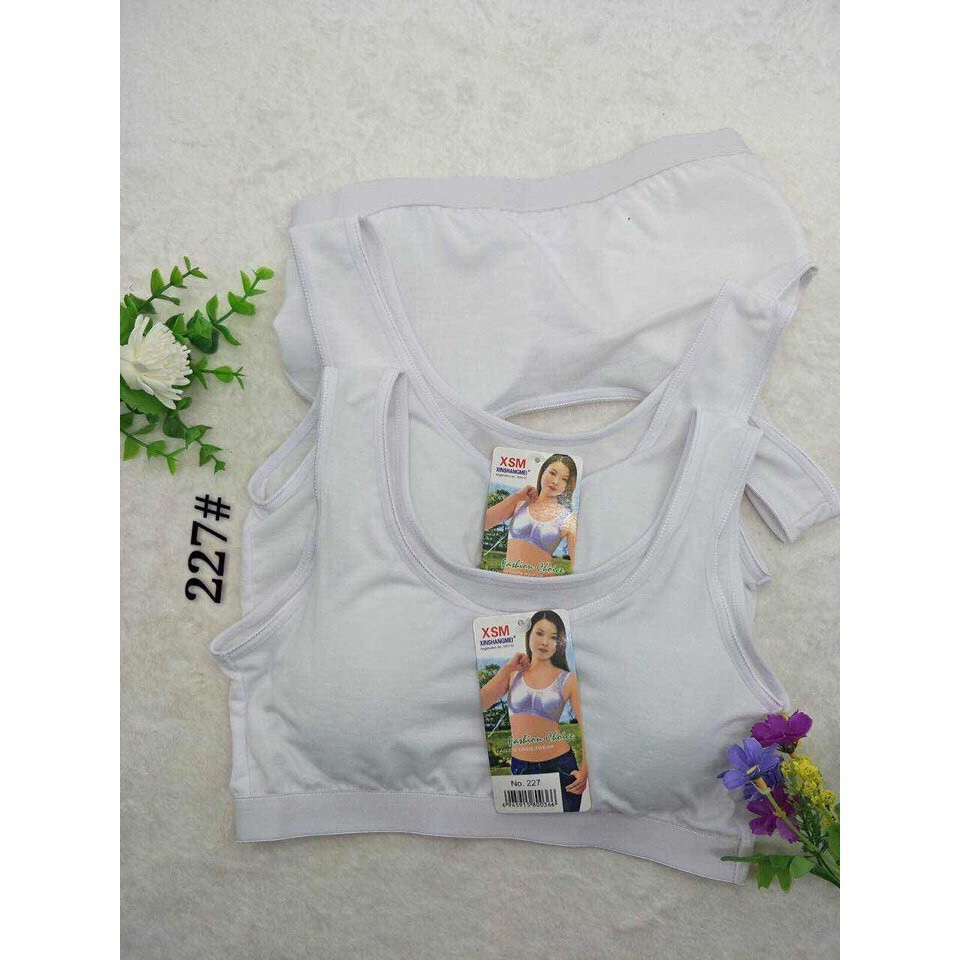 COMBO 6 ÁO LÁ BA LỖ COTTON DÀNH CHO HỌC SINH 227