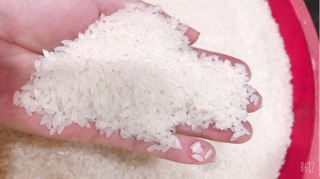 Gạo sạch Hàm Châu (15k)