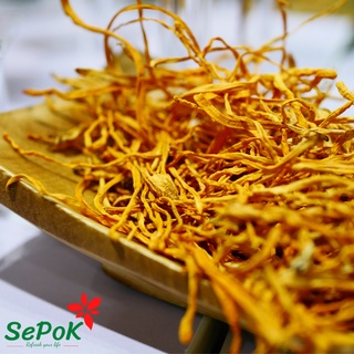 Đông Trùng Hạ Thảo Sấy Khô 100g-SePok